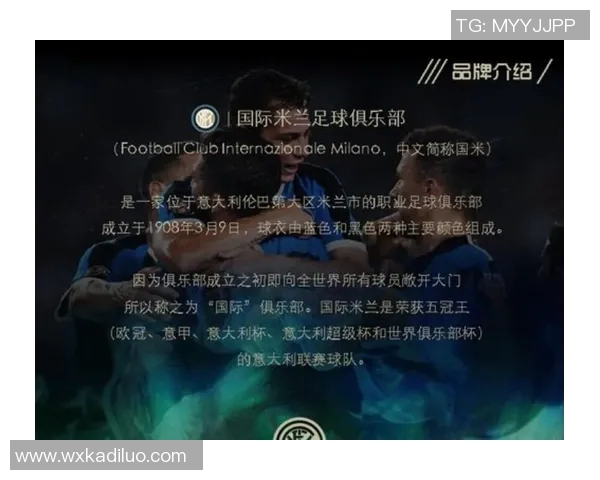 纳赛尔足球明星阵容揭秘包括哪些知名球员及其成就分析